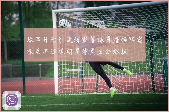 绿军计划引进琼斯等球员增强阵容深度不追求明星球员分担球权